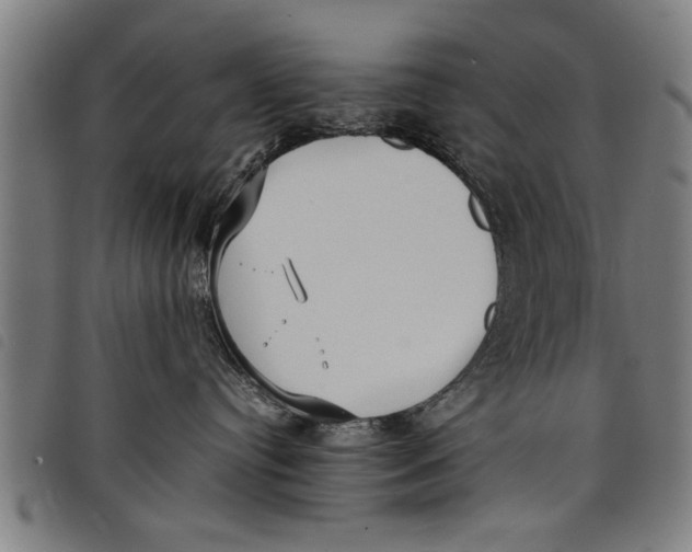 X0000097800384200804041320