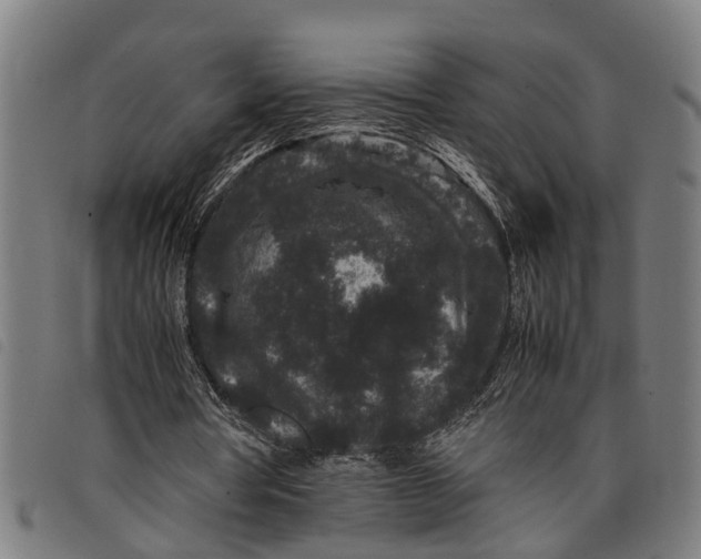 X0000097800386200804041319