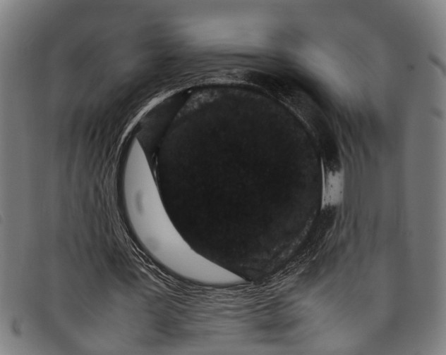 X0000097800387200804041319