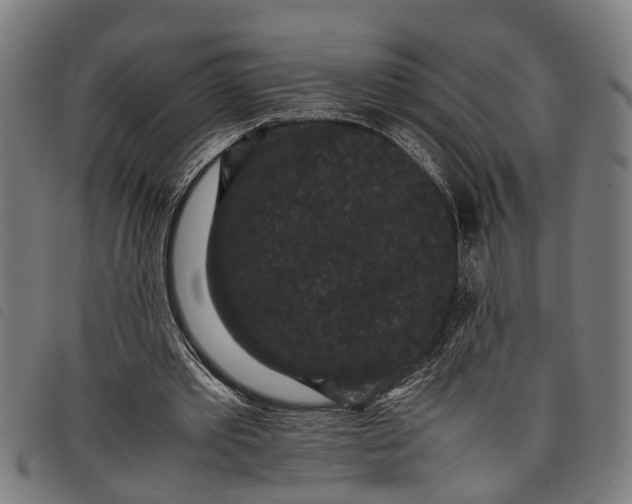 X0000097800389200804041319