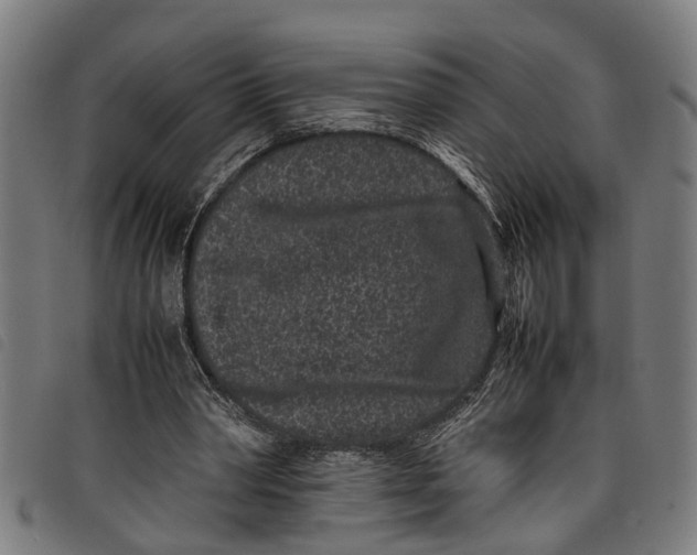 X0000097800390200804041319