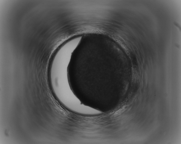 X0000097800391200804041319