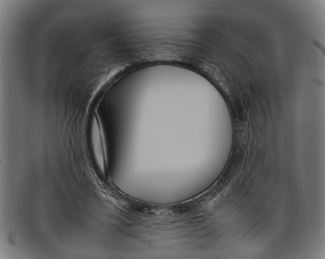 X0000097800395200804041319