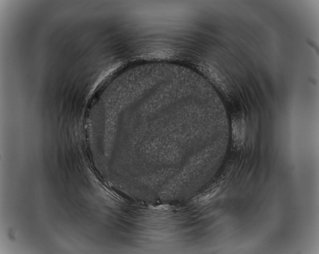 X0000097800396200804041319