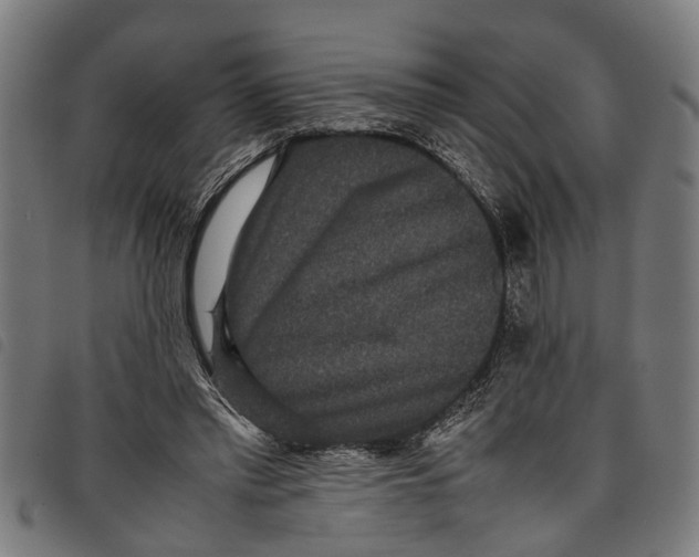 X0000097800397200804041319