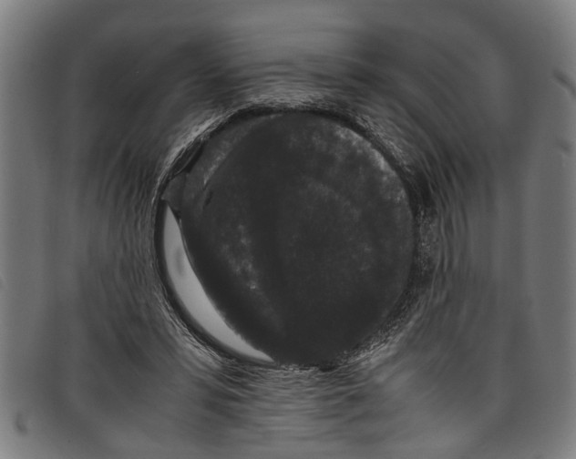 X0000097800399200804041319