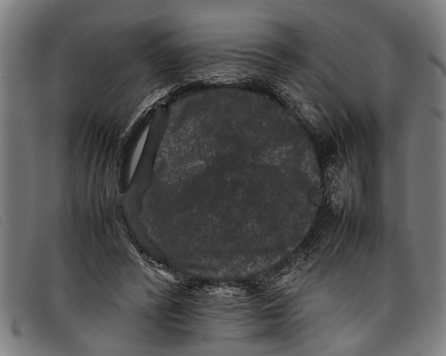 X0000097800400200804041319