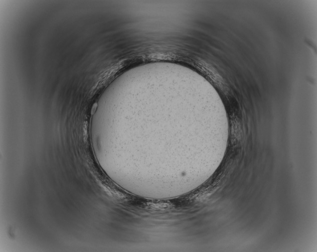 X0000097800401200804041319