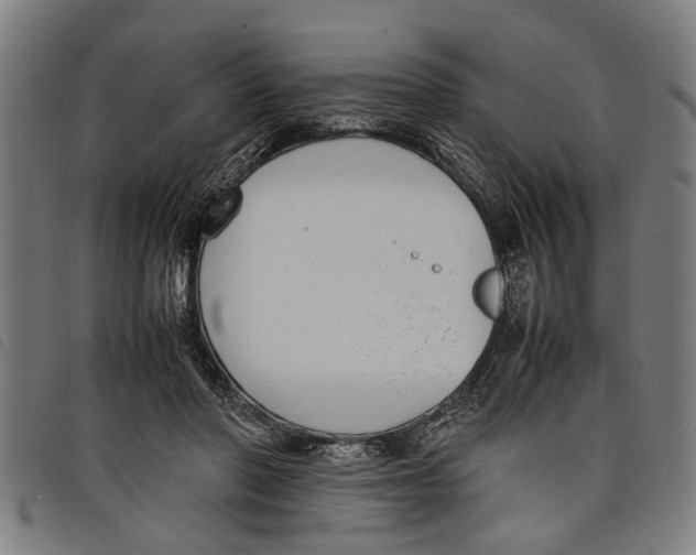 X0000097800406200804041319