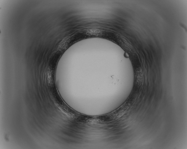 X0000097800408200804041319