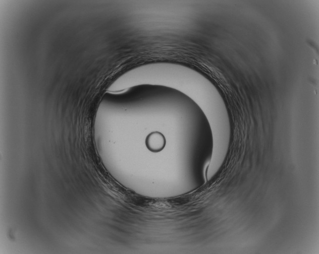 X0000097800409200804041319