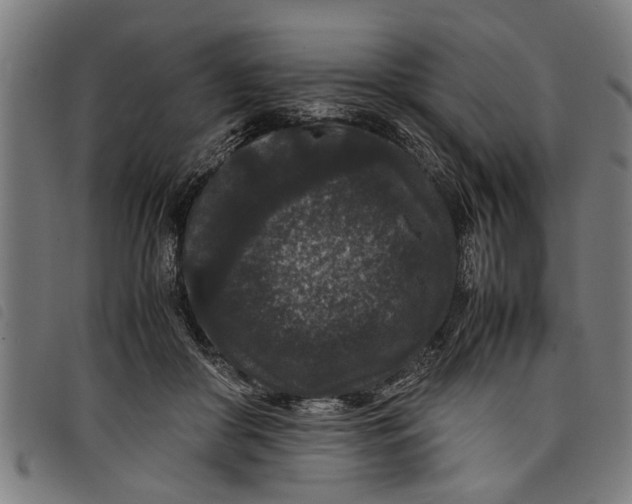 X0000097800410200804041319