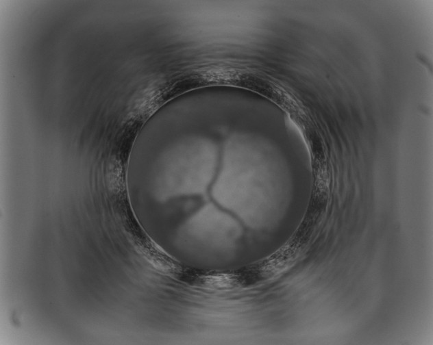 X0000097800411200804041319