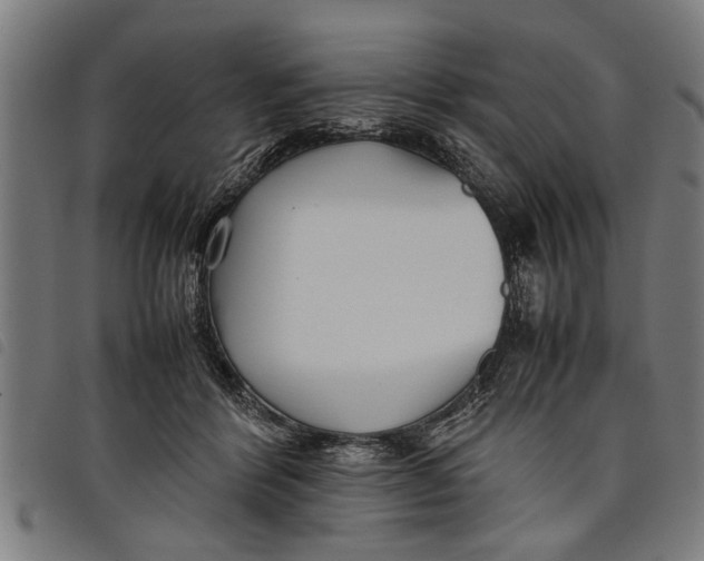 X0000097800412200804041319