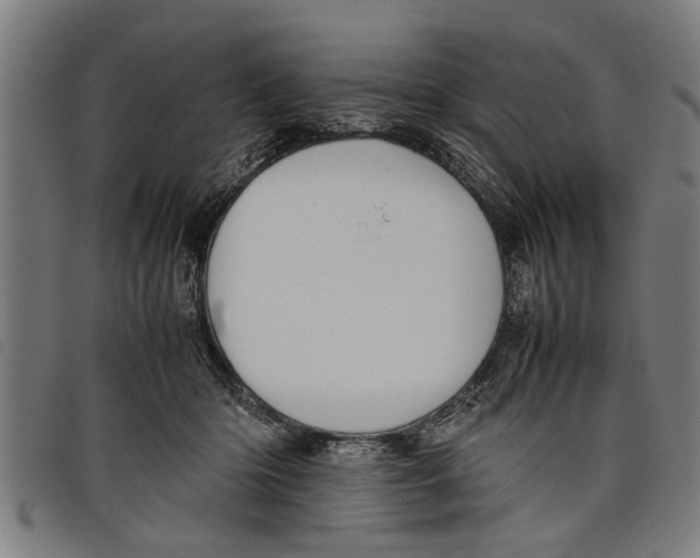 X0000097800414200804041318