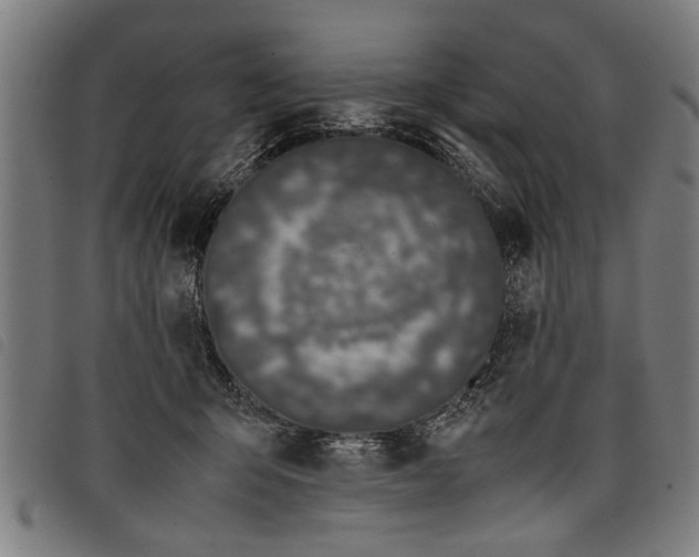 X0000097800415200804041318