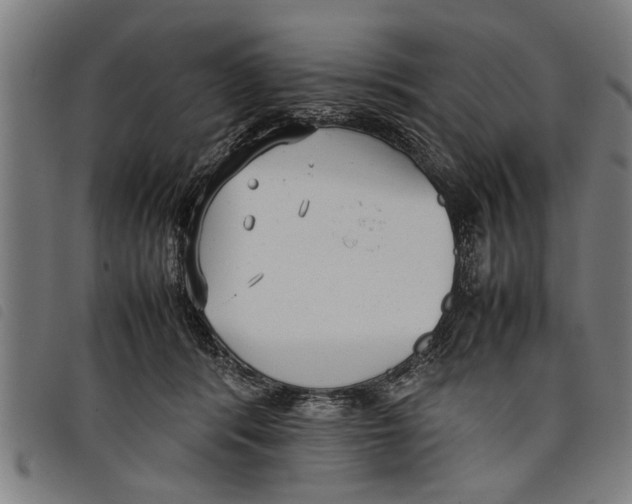 X0000097800416200804041318