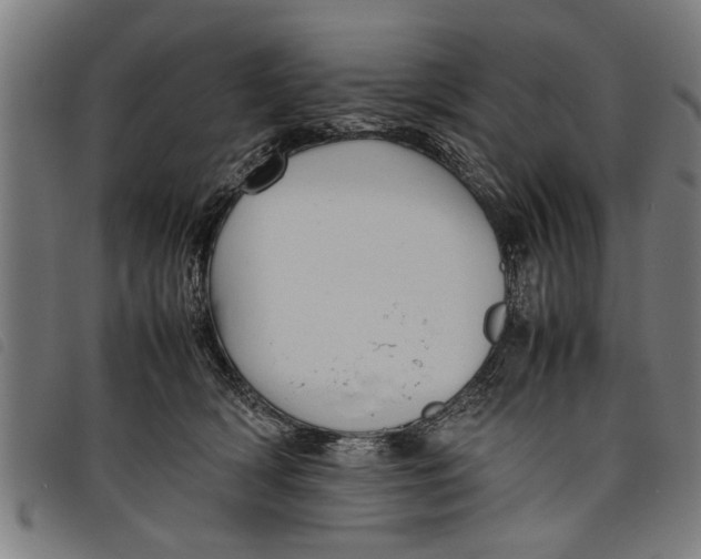 X0000097800418200804041318