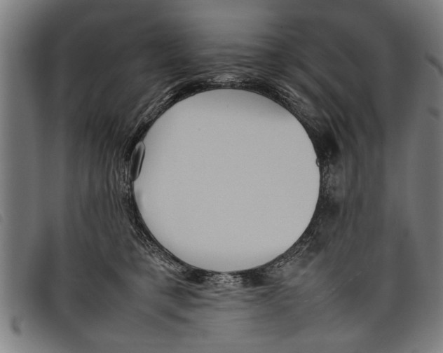 X0000097800421200804041318