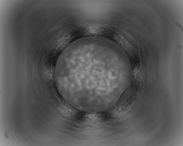 X0000097800423200804041318