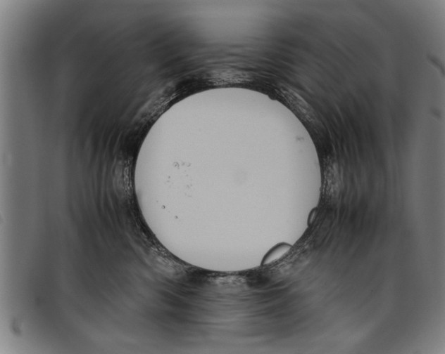 X0000097800426200804041318