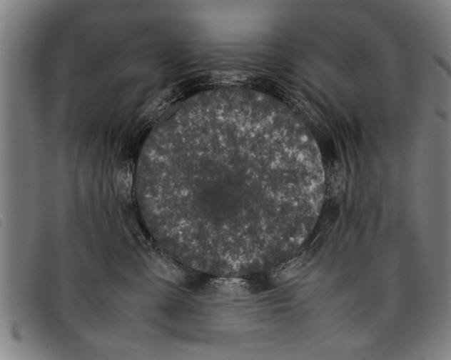 X0000097800427200804041318