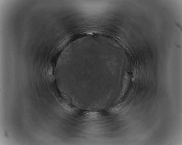 X0000097800428200804041318