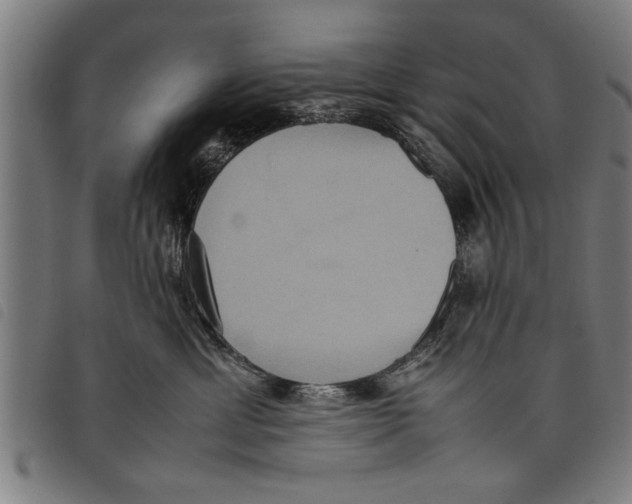 X0000097800429200804041318