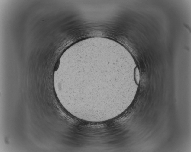 X0000097800433200804041318