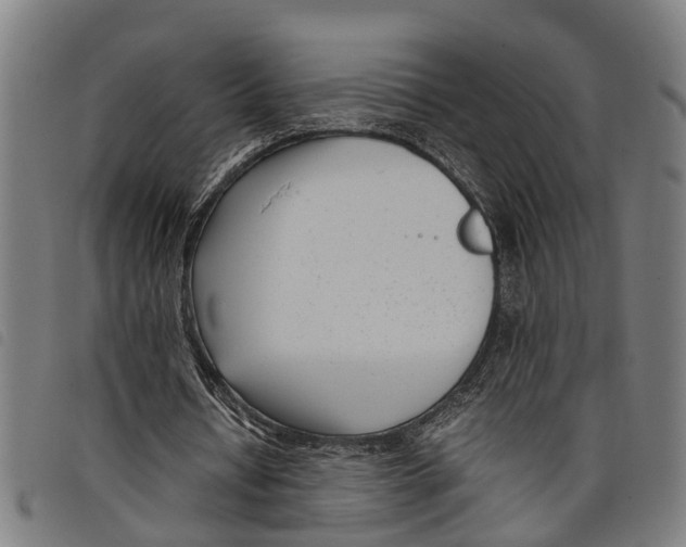 X0000097800434200804041318