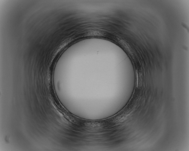 X0000097800435200804041318