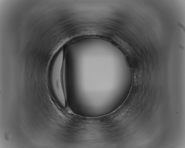 X0000097800436200804041318