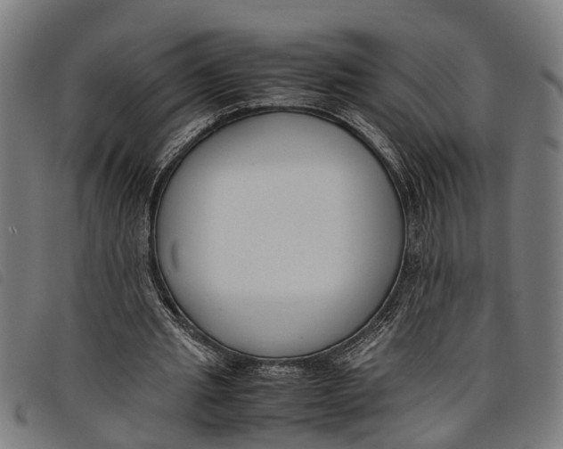 X0000097800437200804041318