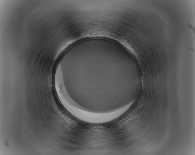 X0000097800438200804041318