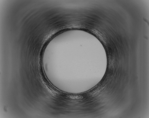 X0000097800439200804041318