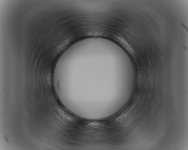 X0000097800441200804041318