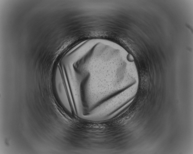 X0000097800443200804041318