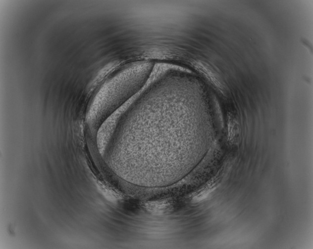 X0000097800444200804041318