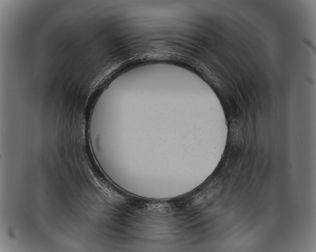 X0000097800446200804041318