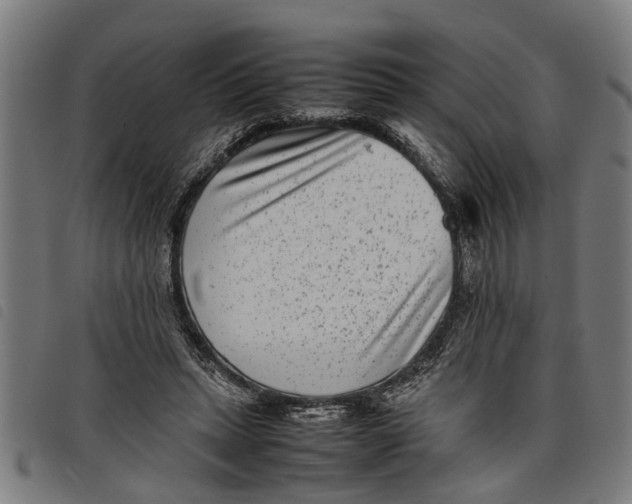 X0000097800447200804041318