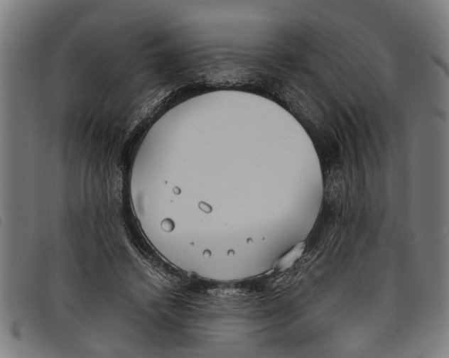 X0000097800448200804041318