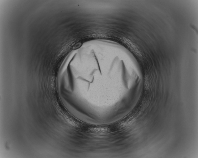 X0000097800449200804041318