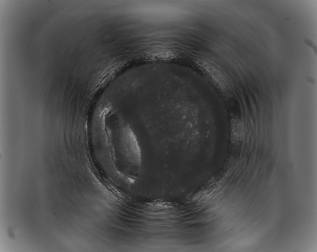 X0000097800451200804041318