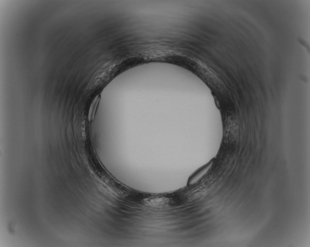 X0000097800452200804041318