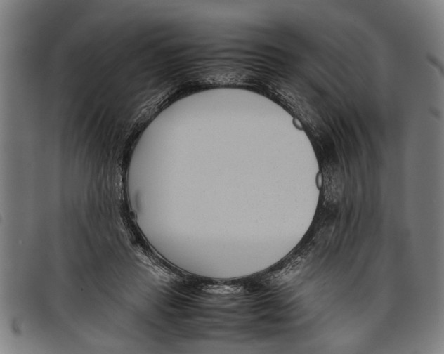 X0000097800453200804041318