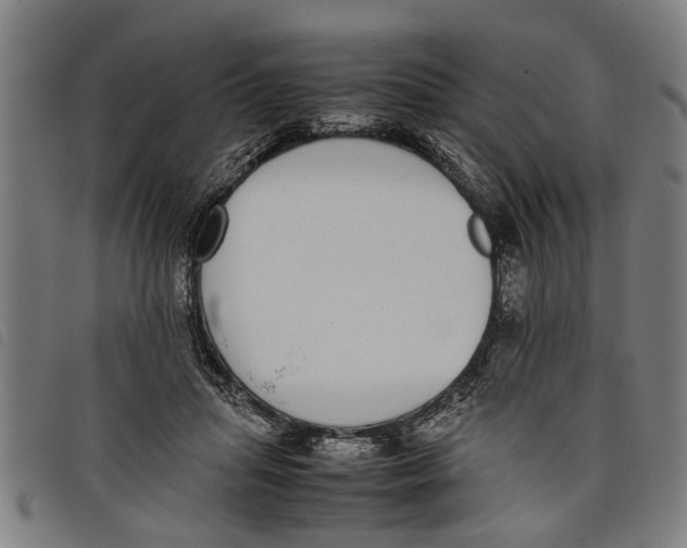 X0000097800455200804041318