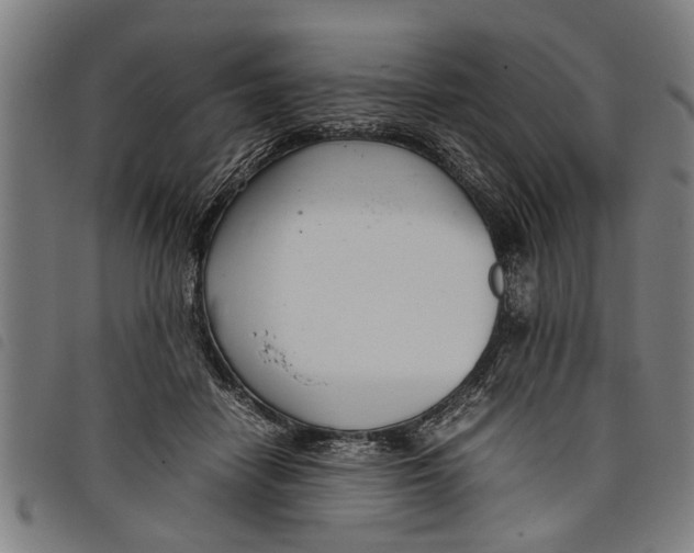 X0000097800458200804041318