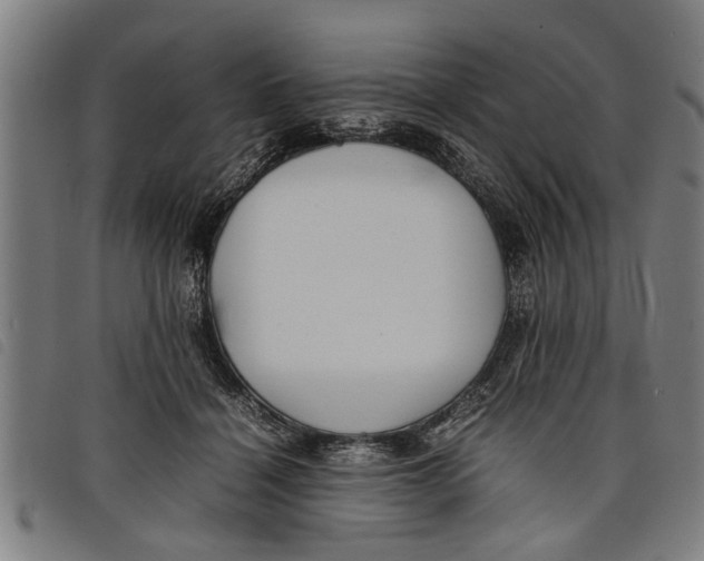 X0000097800460200804041318