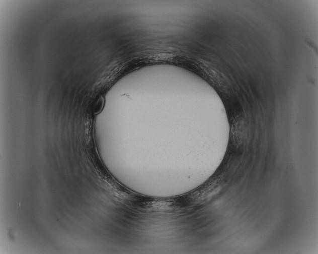 X0000097800462200804041318