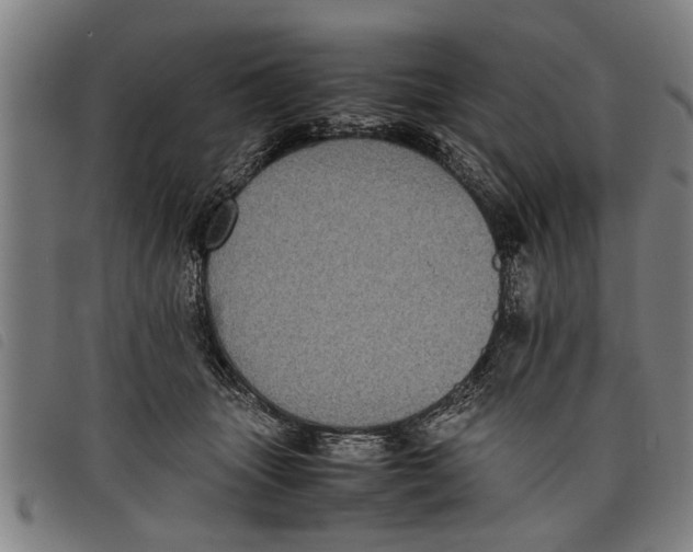 X0000097800463200804041318